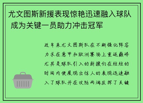 尤文图斯新援表现惊艳迅速融入球队 成为关键一员助力冲击冠军